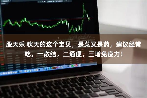 股天乐 秋天的这个宝贝，是菜又是药，建议经常吃，一散结，二通便，三增免疫力！