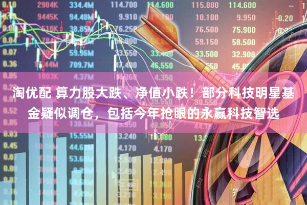 淘优配 算力股大跌、净值小跌！部分科技明星基金疑似调仓，包括今年抢眼的永赢科技智选