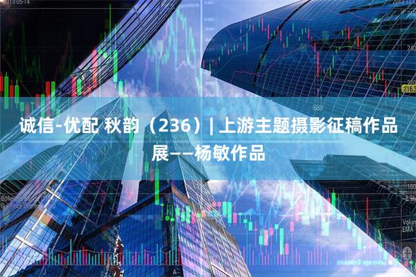 诚信-优配 秋韵（236）| 上游主题摄影征稿作品展——杨敏作品