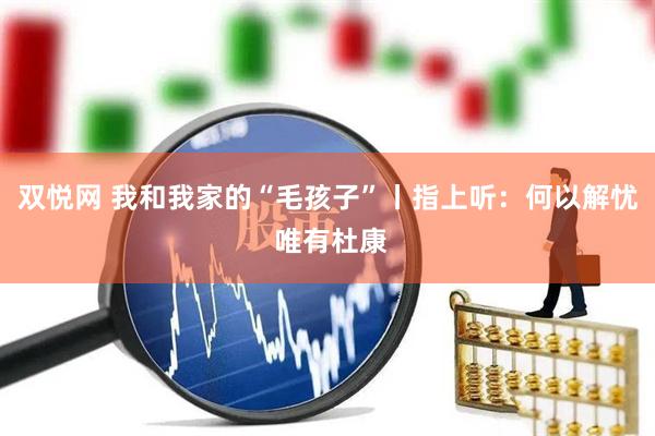 双悦网 我和我家的“毛孩子”丨指上听：何以解忧 唯有杜康