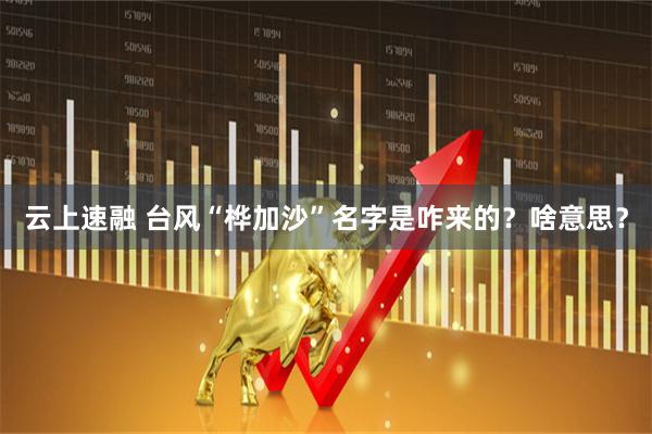 云上速融 台风“桦加沙”名字是咋来的？啥意思？