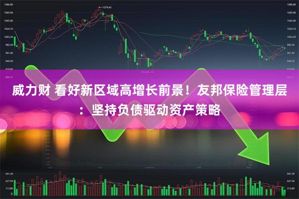 威力财 看好新区域高增长前景！友邦保险管理层：坚持负债驱动资产策略